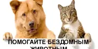 С 1 по 31 марта 2023 года в нашей школе прошла экологическая акция "Открытые ладошки"