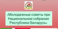 Очередное тематическое занятие в рамках проекта "Я. Моя семья. Моя Родина" прошло в 11 классе, на котором учащиеся обсудили работу Молодежного Совета